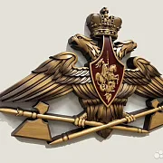 Резной герб МТО ВС РФ из бука в подарок — фотография 2
