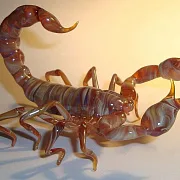 Скульптура «Скорпионы» из стекла — необычный подарок — фотография 1
